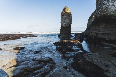 Kuzey Denizi kıyısındaki taşların ve yüksek kayalıkların yakın görüntüsü, Flamborough Head, İngiltere. Yüksek kalite fotoğraf