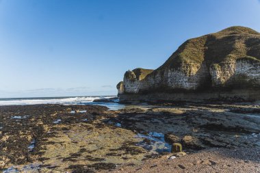 Flamborough Head 'deki Selwicks Körfezi' nin kayalıkları Bridlington, Yorkshire, İngiltere 'nin Doğu Biniciliği yakınlarında. Yüksek kalite fotoğraf