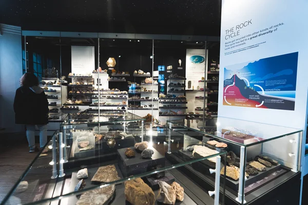 2023 Nottingham Reino Unido Piedras Rocas Antiguas Exhibidas Museo Wollaton —  Fotos de Stock