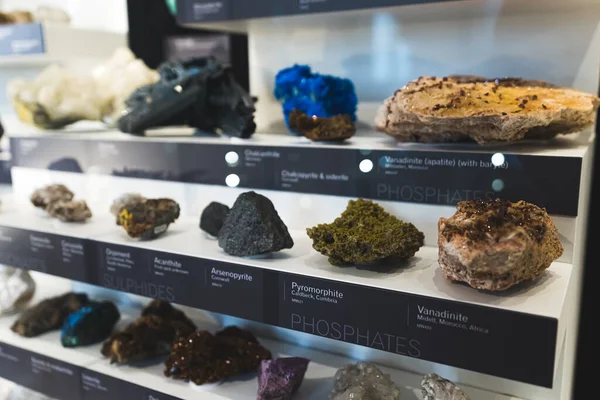 Diferentes Tipos Minerales Exhibidos Wollaton Hall Reino Unido Foto Alta —  Fotos de Stock