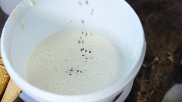 在白色搅拌桶中的液体冰淇淋中加入巧克力片 准备巧克力冰淇淋 高质量的4K镜头 — 图库视频影像