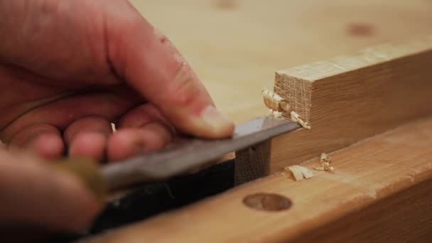 Tiro Close Extremo Mãos Carpinteiros Usando Cinzel Uma Prancha Madeira — Vídeo de Stock