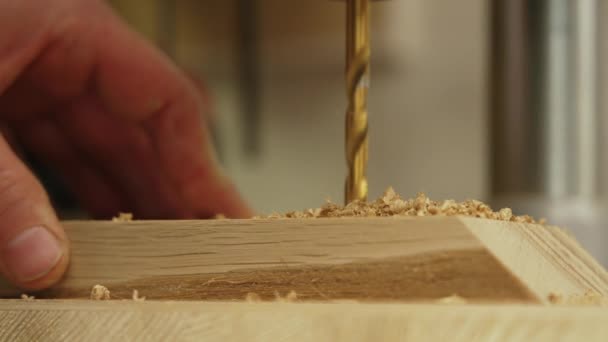 黄金のドリルビットと電動ドリルマシンを使用して木製の板の大工の掘削穴の手 高品質4K映像 — ストック動画