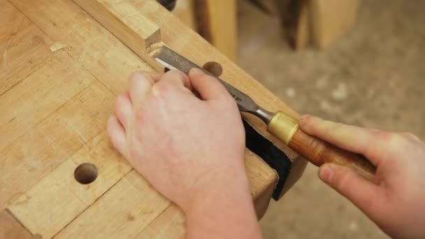 Tischler Glättet Mit Einem Meißel Holzbretter Und Wischt Krümel Von — Stockvideo
