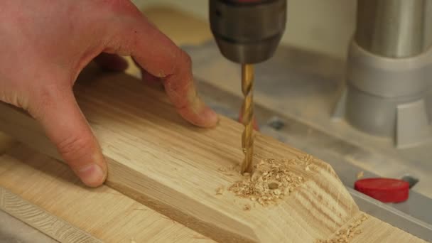 木製の板に穴を開けるという閉鎖的なショット大工の概念 高品質4K映像 — ストック動画