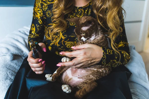 Woman Holding Clipper Cut Claws Devon Rex Cat Pets Concept — Stock Photo, Image