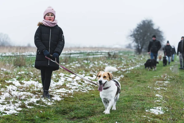 Pequena Menina Voluntária Cuidando Cães Abrigo Andando Com Eles Natureza — Fotografia de Stock