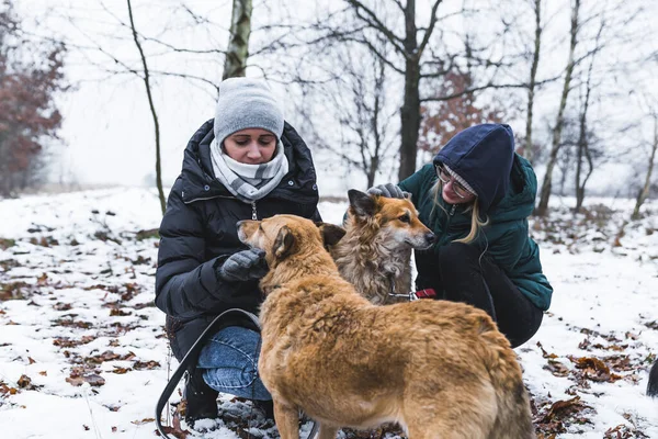 Promenader Vintern Två Kvinnor Varma Kläder Gosande Vackra Hundar Från — Stockfoto