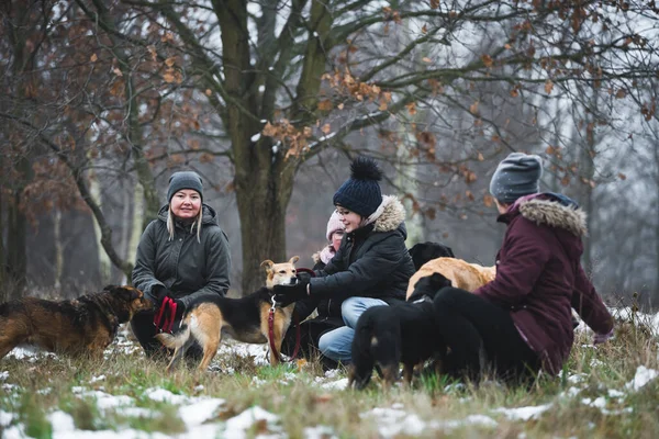 Grupp Frivilliga Kvinnor Att Kul Med Hundar Från Härbärget Och — Stockfoto