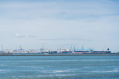 Uzaktan Maasvlakte Rotterdam 'da çeşitli yolcu gemileri görüldü. Hollanda 'nın sakin deniz suları. Rotterdam Limanı. Yüksek kalite fotoğraf