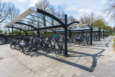 Amsterdam 'da birçok bisiklet açık hava bisikletinin park alanında durdu. Hollanda 'da hava çok güzel. Ulaşım yolları. Yüksek kalite fotoğraf
