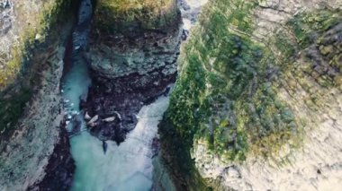 Flamborough Head plajında yatan fok sürüsü. Beyaz tebeşir kayalıklarının yanında. Vahşi Yaşam Konsepti. Yüksek kalite 4k görüntü