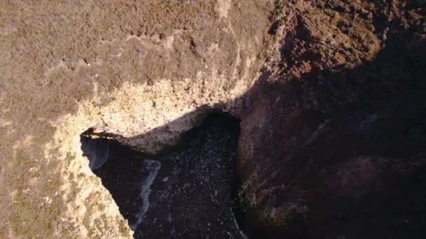 Σφραγίδες Herd Που Βρίσκεται Στην Παραλία Flamborough Head Στην Άμμο — Αρχείο Βίντεο