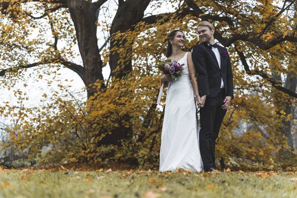 Gelin ve damat sonbahar parkı. Yüksek kalite fotoğraf