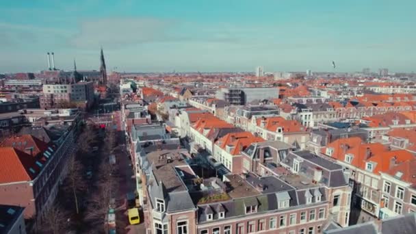 Vidéo Aérienne Des Beaux Oisillons Haye Pays Bas Images Haute — Video