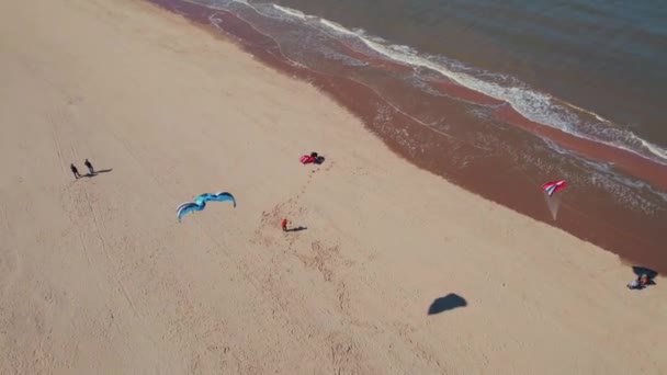 Άνθρωποι Που Πετούν Χαρταετούς Στην Αμμώδη Παραλία Στις Ακτές Της — Αρχείο Βίντεο