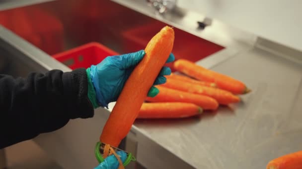 手戴氮肥防护手套 顺利剥下一堆胡萝卜 烹调前准备好玉米片 不锈钢专业厨房柜台上的卡车司机 高质量的4K镜头 — 图库视频影像