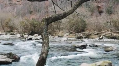 Snowdonia Ulusal Parkı 'ndaki nehir vadisi, Kuzey Galler' de ünlü bir yer. Yüksek kalite 4k görüntü
