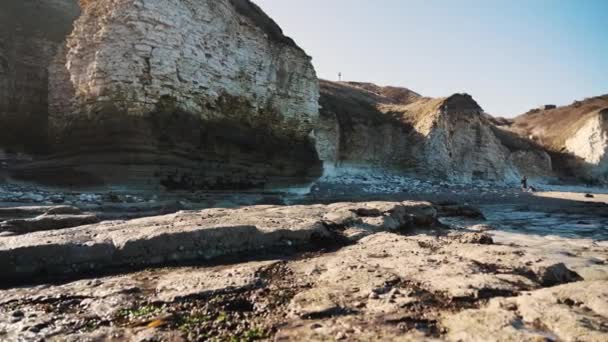 Güneşli Bir Günde Flamborough Head Güzel Kıyılarının Çarpıcı Manzarası Yüksek — Stok video