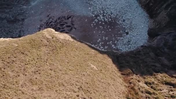 フラムバラヘッドの岩の砂の上に横たわるアザラシのコロニー 美しい野生動物エリア グループ内の海の動物 高品質4K映像 — ストック動画