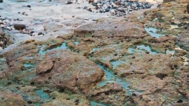 Κοντινό Πλάνο Του Εξαιρετικού Σχηματισμού Βράχων Στο Flamborough Head Αγγλία — Αρχείο Βίντεο