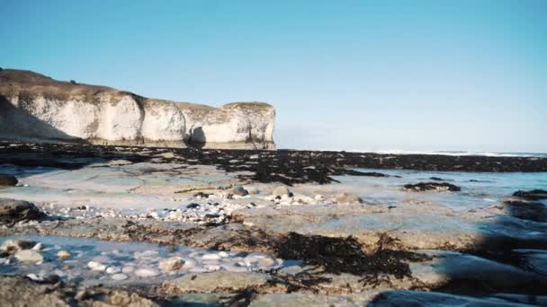 Atemberaubendes Panorama Der Klippen Küste Und Felsen Auf Flamborough Head — Stockvideo