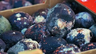 05.09.2023. Varşova, Polonya. Yakın çekim kutuları dolusu çürük avokado, yiyecek israfı konsepti. Yüksek kalite 4k görüntü