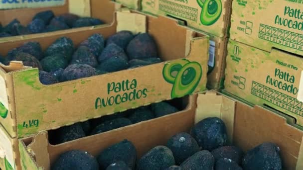 2023 Varsóvia Polónia Dezenas Caixas Abacates Podres Conceito Desperdício Alimentos — Vídeo de Stock