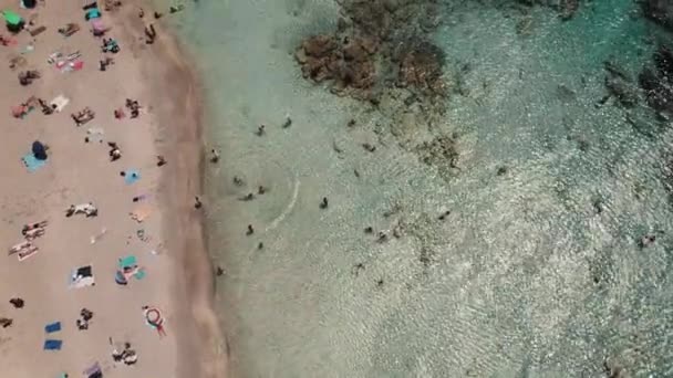 许多游客在克里特岛的Elafonisi的浅海中放松 晒日光浴和游泳 在希腊的暑假 高质量的4K镜头 — 图库视频影像
