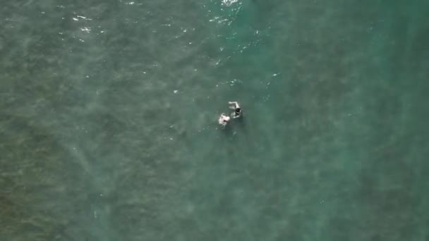 在希腊 两名游客在水晶般清澈的浅水中游泳 夏季海滨活动 是的高质量的4K镜头 — 图库视频影像