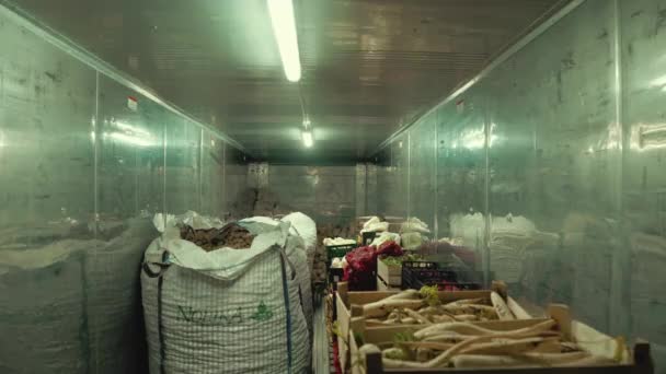 Koncepcja Transportu Żywności Świeżo Zebrane Warzywa Pudełkach Workach Umieszczonych Lodówce — Wideo stockowe