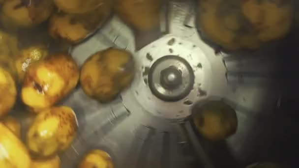 Het Belang Van Schone Groenten Lekkere Gele Aardappelen Die Ronddraaien — Stockvideo