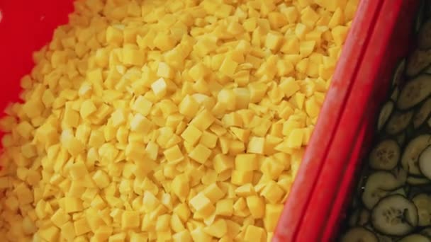 Würfelförmige Gelbe Kartoffeln Und Dünne Scheiben Geschnittene Gurken Verpackt Roten — Stockvideo