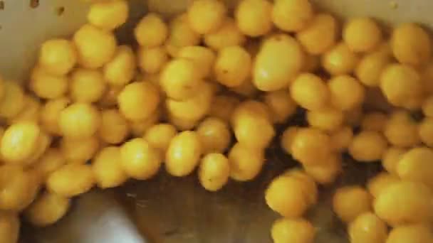 Közelkép Krumpliról Amit Egy Ipari Gépbe Dobálnak Zöldségek Mosására Élelmiszeripari — Stock videók
