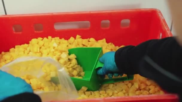 用绿色塑料挖掘机对食品员工的室内特写镜头进行测量 以确定马铃薯在塑料袋中的最佳用量 高质量的4K镜头 — 图库视频影像