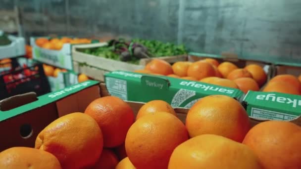 Zbliżenie Soczyste Pomarańcze Świeże Buraki Umieszczone Pudełkach Gotowych Transportu Warzywniaka — Wideo stockowe