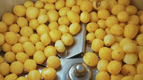 Limpe Batatas Amarelas Lavadas Deitadas Máquina Corte Lavagem Pronta Para — Vídeo de Stock