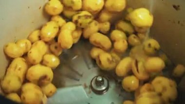 Patates hasat mevsimi konsepti. Endüstriyel bir makinede kirli patatesleri yıkamak. Mutfak yemeklerinin sahne arkasında. Yüksek kalite 4k görüntü