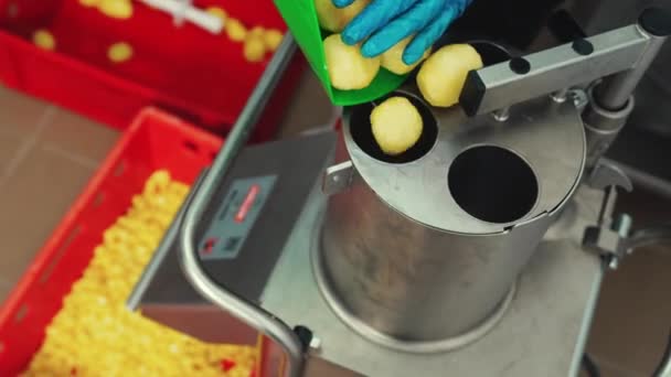 Έννοια Της Βιομηχανίας Τροφίμων Υπάλληλος Βάζει Αποφλοιωμένες Καθαρές Κίτρινες Πατάτες — Αρχείο Βίντεο