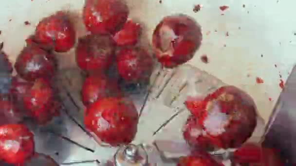 圆圆的甜菜块茎被扔在工业用水清洗机里 新鲜蔬菜的清洗过程 高质量的4K镜头 — 图库视频影像