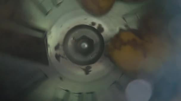 Rauwe Gele Aardappelen Worden Gereinigd Een Industriële Wasmachine Gegooid Een — Stockvideo