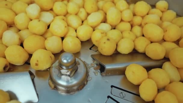 干净新鲜的剥皮黄色土豆躺在一台工业机器上 预先准备好食物 粮食运输和农业 高质量的4K镜头 — 图库视频影像
