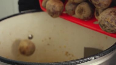 Yiyecek endüstrisi konsepti. Kirli pancar kökleri kırmızı plastik konteynırdan büyük beyaz bir çamaşır makinesine aktarılıyor. Yüksek kalite 4k görüntü
