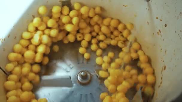 Process Potato Washing Special Machine Machine Spinning Yellow Potatoes Pouring — Stock Video