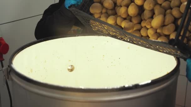 Membros Fortes Indústria Processamento Alimentos Despejando Batatas Amarelas Sujas Uma — Vídeo de Stock