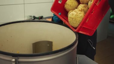 Tanınmayan mutfak çalışanları sebzeler için özel bir temizlik makinesine kirli kereviz hortumları atıyorlar. Yüksek kalite 4k görüntü