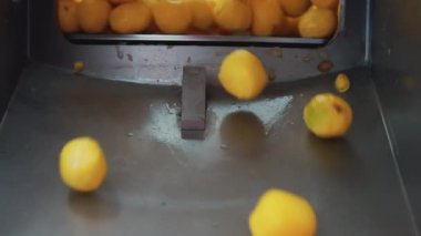 Salıverme makinesi. Yemek endüstrisinde kullanılan profesyonel bir makineden çıkarılan soyulmuş sarı patateslerin yavaş çekimleri. Yüksek kalite 4k görüntü