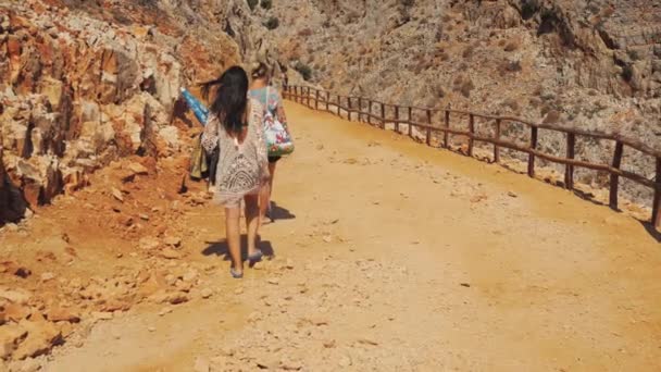 2023 Creta Grecia Turisti Piedi Sulla Strada Rocciosa Seitan Limania — Video Stock
