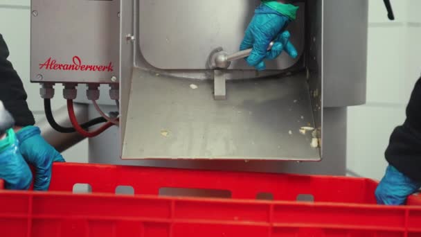 Funcionários Indústria Alimentar Abrindo Porta Máquina Lavar Roupa Industrial Coletando — Vídeo de Stock