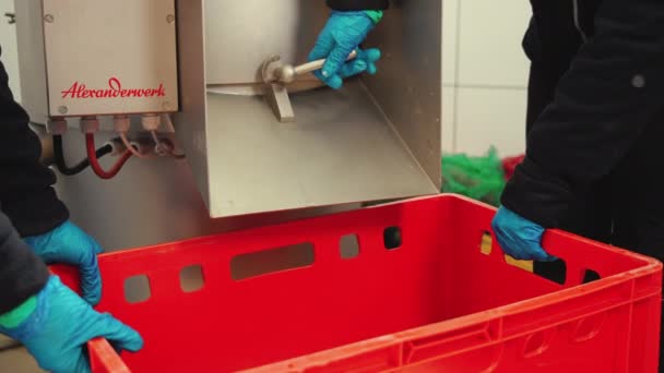 两名员工手持大的红色塑料盒 收集干净新鲜的黄色土豆 工业食品加工概念 高质量的4K镜头 — 图库视频影像